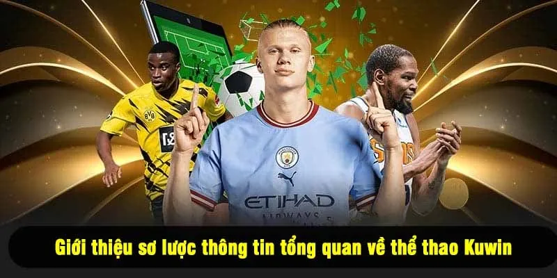 Giới thiệu sơ lược thông tin tổng quan về thể thao Kuwin