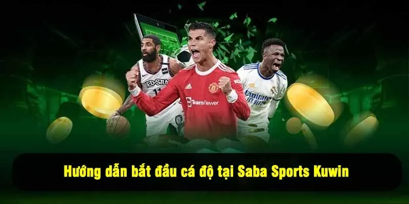 Hướng dẫn bắt đầu cá độ tại Saba Sports Kuwin