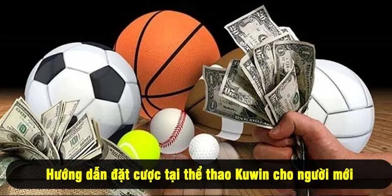 Hướng dẫn đặt cược tại thể thao Kuwin cho người mới