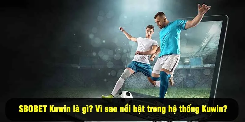 SBOBET Kuwin là gì? Vì sao nổi bật trong hệ thống Kuwin?