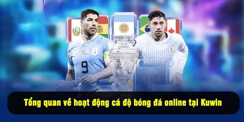 Tổng quan về hoạt động cá độ bóng đá online tại Kuwin